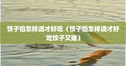 饺子馅怎样调才好吃（饺子馅怎样调才好吃饺子又嫩）