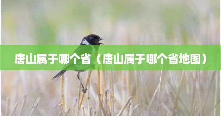唐山属于哪个省（唐山属于哪个省地图）
