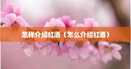 怎样介绍红酒（怎么介绍红酒）
