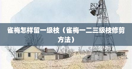雀梅怎样留一级枝（雀梅一二三级枝修剪方法）