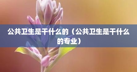 公共卫生是干什么的（公共卫生是干什么的专业）