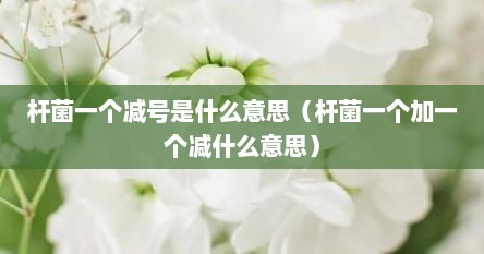 杆菌一个减号是什么意思（杆菌一个加一个减什么意思）
