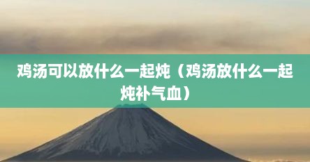 鸡汤里面可以放什么一起炖（鸡汤可以加什么）