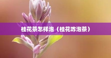 桂花茶怎样泡（桂花咋泡茶）