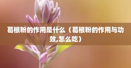 葛根粉的作用是什么（葛根粉的作用与功效,怎么吃）
