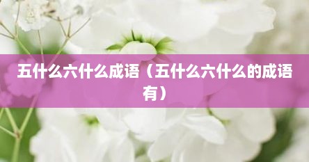 五什么六什么成语（五什么六什么的成语有）