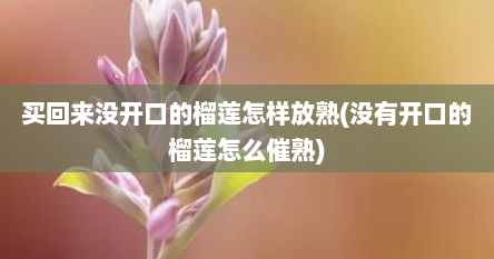 买回来没开口的榴莲怎样放熟(没有开口的榴莲怎么催熟)