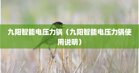 九阳智能电压力锅（九阳智能电压力锅使用说明）