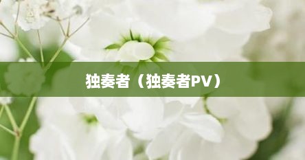 独奏者钢琴谱(独奏者里面的歌曲) 独奏者钢琴谱(独奏者里面的歌曲)