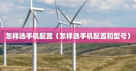 怎样选手机配置（怎样选手机配置和型号）