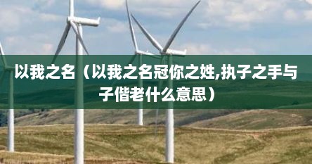 以我之名（以我之名冠你之姓,执子之手与子偕老什么意思）