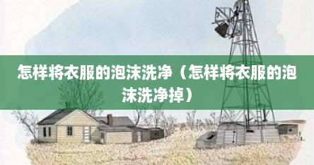 怎样将衣服的泡沫洗净（怎样将衣服的泡沫洗净掉）