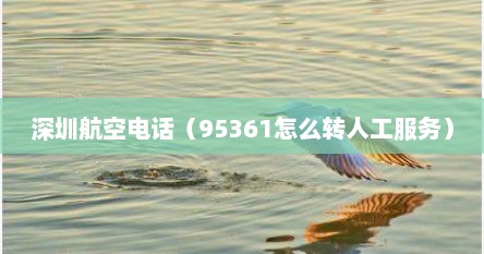 深圳航空电话（95361怎么转人工服务）