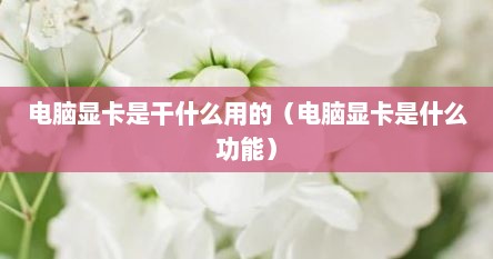 电脑显卡是干什么用的（电脑显卡是什么功能）