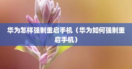 华为怎样强制重启手机（华为如何强制重启手机）