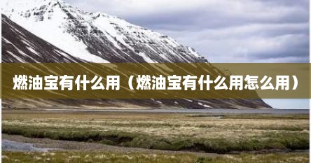 燃油宝有什么用（燃油宝有什么用怎么用）