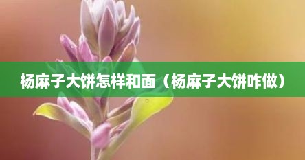 杨麻子大饼怎样和面（杨麻子大饼咋做）