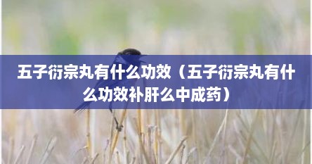 五子衍宗丸有什么功效（五子衍宗丸有什么功效补肝么中成药）