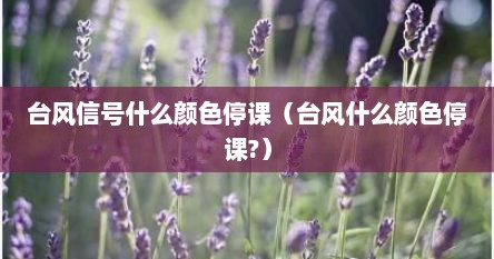 台风信号什么颜色停课（台风什么颜色停课?）