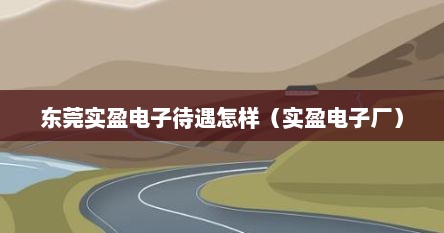 东莞实盈电子待遇怎样（实盈电子厂）