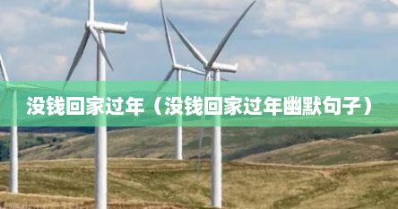 没钱回家过年（没钱回家过年幽默句子）