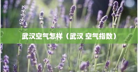 武汉空气怎样（武汉 空气指数）