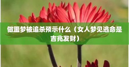 做噩梦被追杀预示什么（女人梦见逃命是吉兆发财）