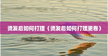 烫发后如何打理（烫发后如何打理更卷）
