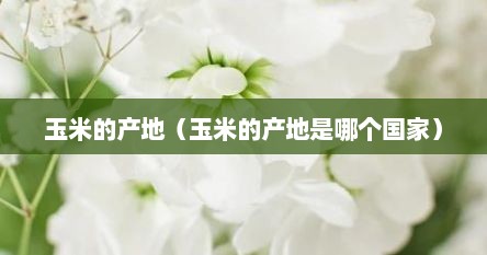 玉米的产地（玉米的产地是哪个国家）