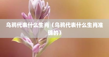 乌鸦代表什么生肖（乌鸦代表什么生肖准确的）