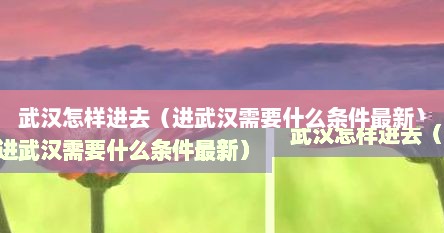 武汉怎样进去（进武汉需要什么条件最新）