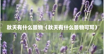 秋天有什么景物（秋天有什么景物可写）