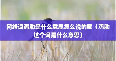 网络词鸡肋是什么意思怎么说的呢（鸡肋这个词是什么意思）