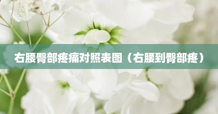 右腰臀部疼痛对照表图（右腰到臀部疼）