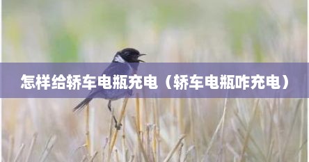 怎样给轿车电瓶充电（轿车电瓶咋充电）