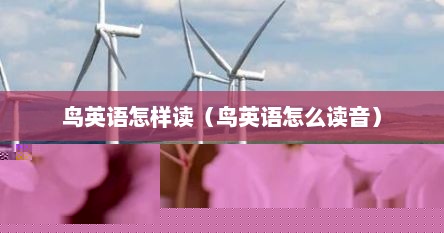 鸟英语怎样读（鸟英语怎么读音）