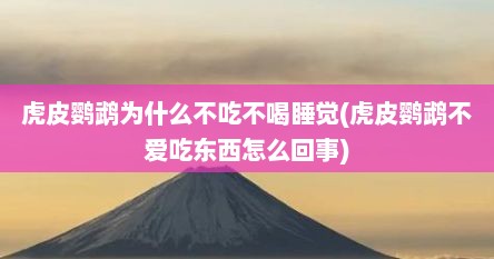 虎皮鹦鹉为什么不吃不喝睡觉(虎皮鹦鹉不爱吃东西怎么回事)