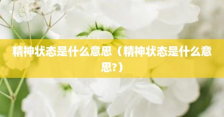 精神状态是什么意思（精神状态是什么意思?）