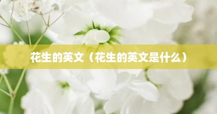 花生的英文（花生的英文是什么）