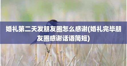 婚礼第二天发朋友圈怎么感谢(婚礼完毕朋友圈感谢话语简短)
