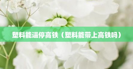 塑料能逼停高铁（塑料能带上高铁吗）