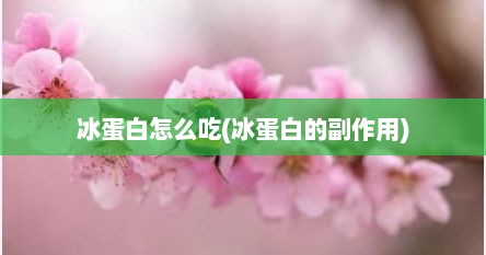 冰蛋白怎么吃(冰蛋白的副作用)