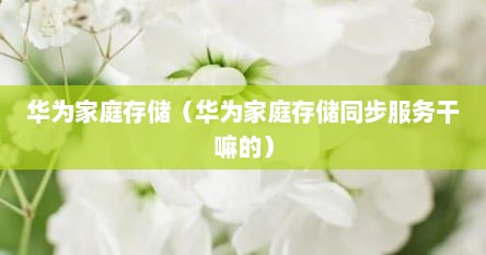华为家庭存储（华为家庭存储同步服务干嘛的）