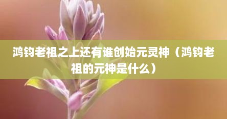鸿钧老祖之上还有谁创始元灵神（鸿钧老祖的元神是什么）