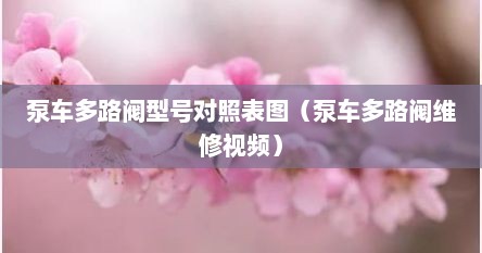 泵车多路阀型号对照表图（泵车多路阀维修视频）