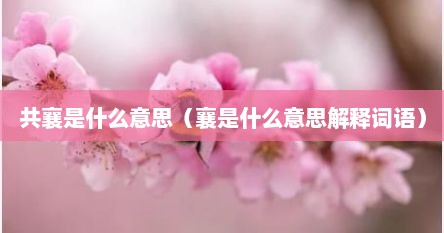 共襄是什么意思（襄是什么意思解释词语）