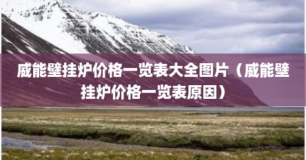 威能壁挂炉价格一览表大全图片（威能壁挂炉价格一览表原因）