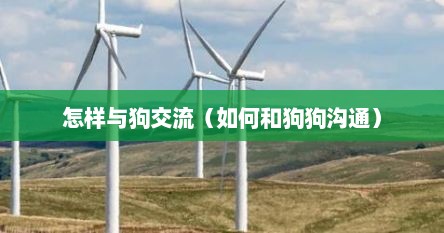 怎样与狗交流（如何和狗狗沟通）