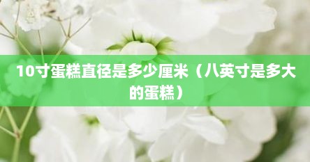 10寸蛋糕直径是多少厘米（八英寸是多大的蛋糕）