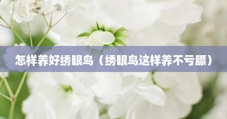 如何区分红胁绣眼鸟和冠纹绣眼鸟（绣眼鸟幼鸟可以喂成年绣眼鸟粮吗）